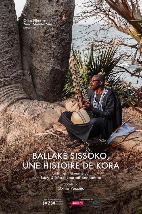 Ballaké Sissoko, une histoire de kora