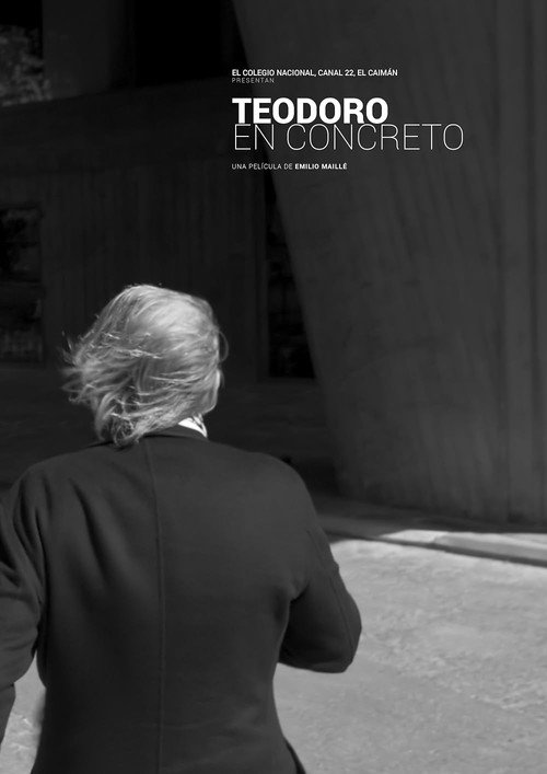 Teodoro En Concreto