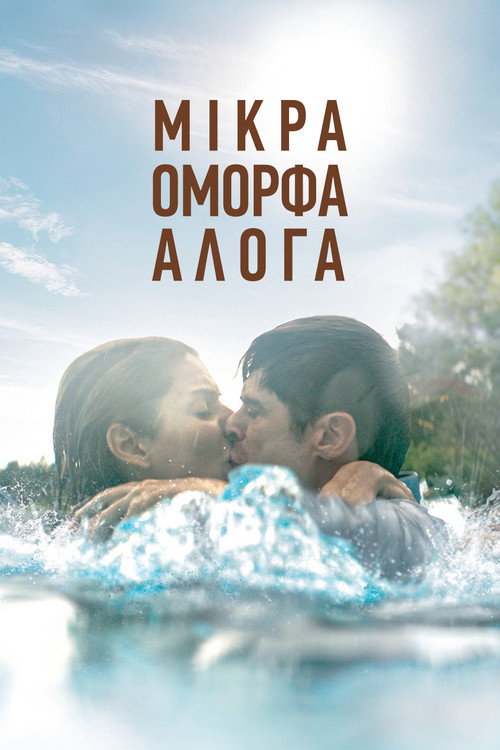 Μικρά Όμορφα Άλογα