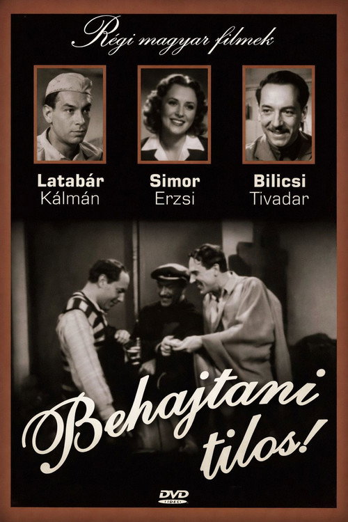 Behajtani tilos