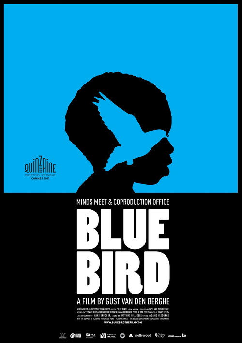 Blue Bird