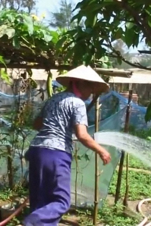 Đất đai thuộc về ai
