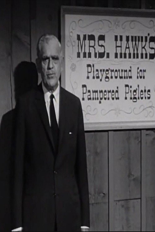 The Remarkable Mrs. Hawk