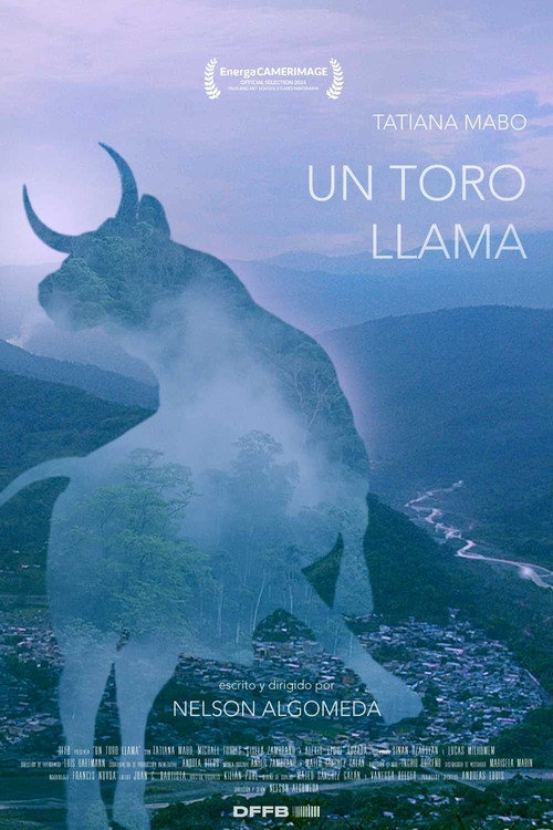 Un toro llama