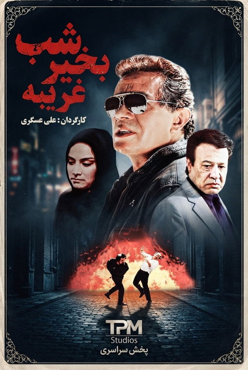 شب بخیر غریبه