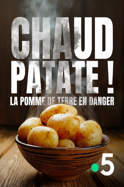 Chaud patate ! La pomme de terre en danger