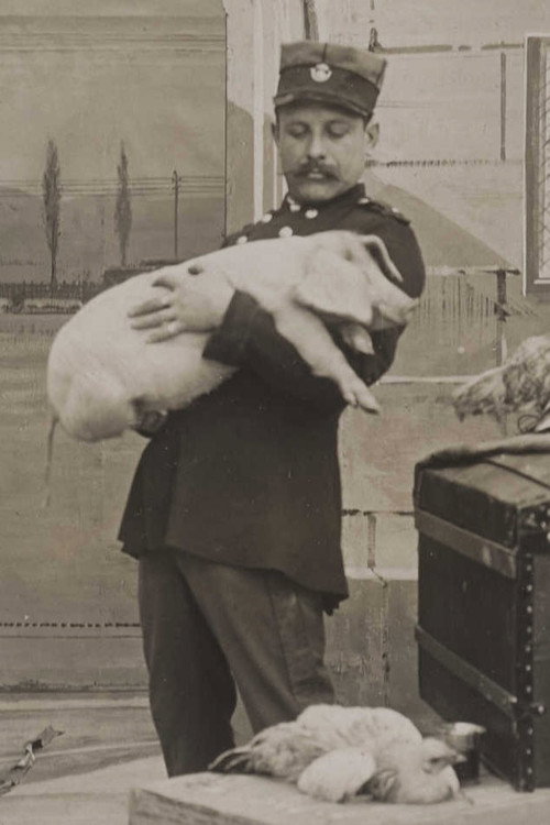 Visite de la douane