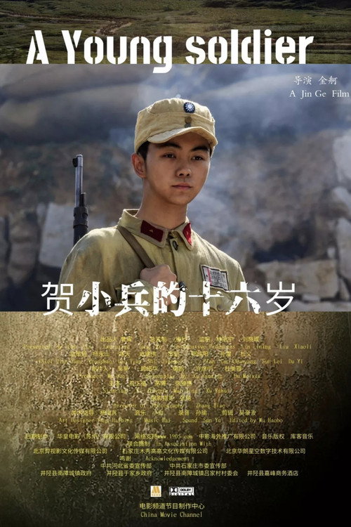 贺小兵的十六岁