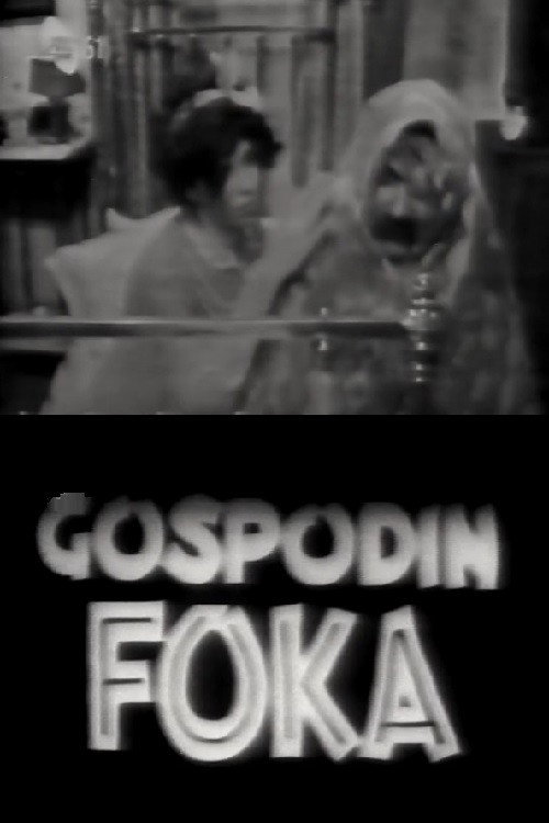 Gospodin foka