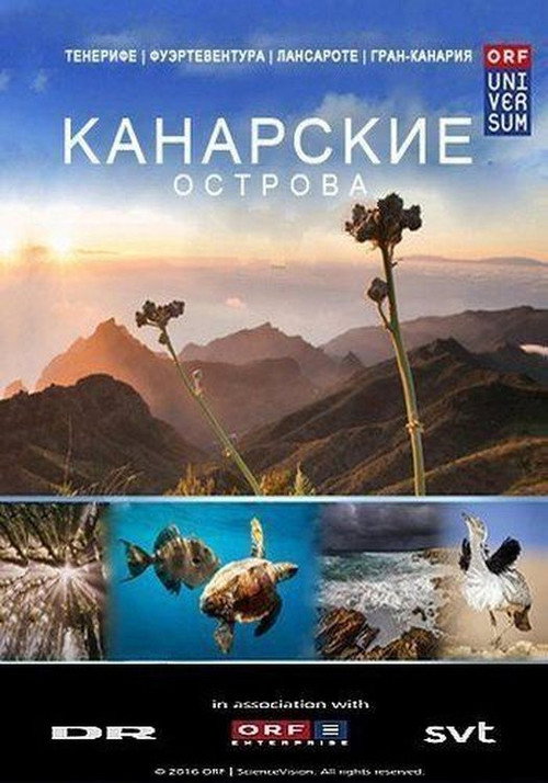 Канарские острова