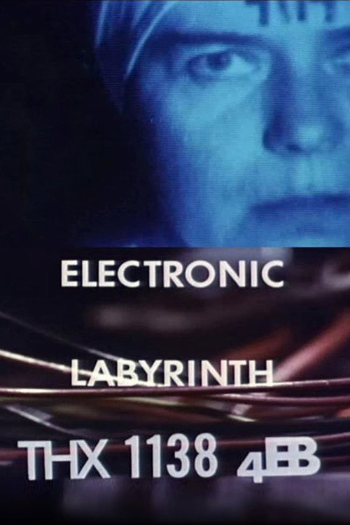 Электронный лабиринт THX 1138 4EB