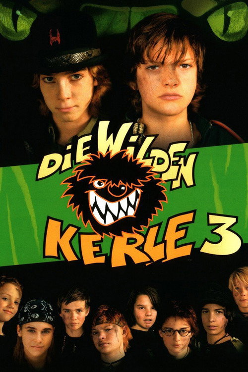 Die Wilden Kerle 3