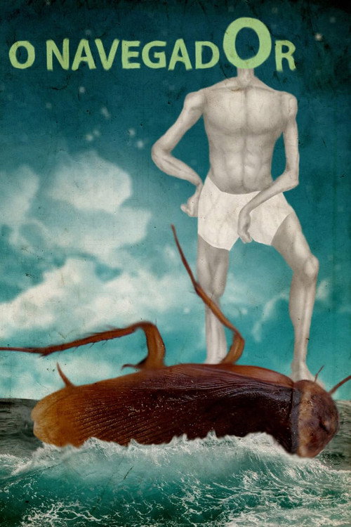 O Navegador