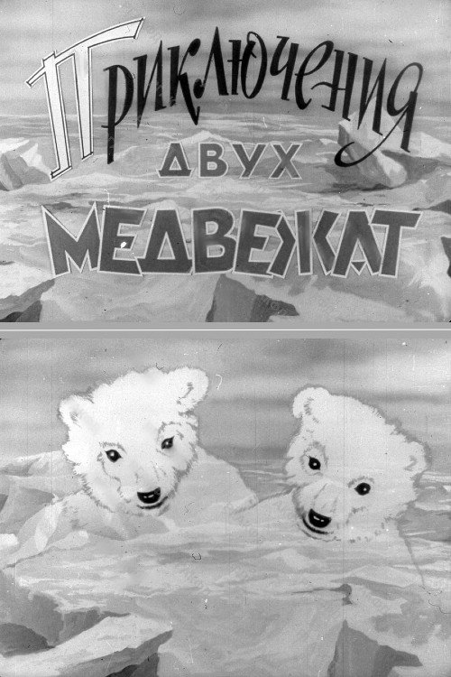 Приключения двух медвежат