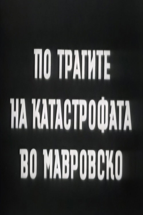 По трагите на катастрофата во Мавровско