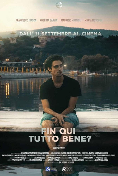 Fin qui tutto bene?