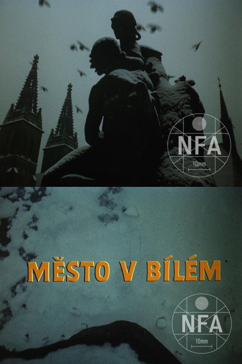 Město v bílém