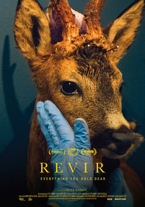 Revir