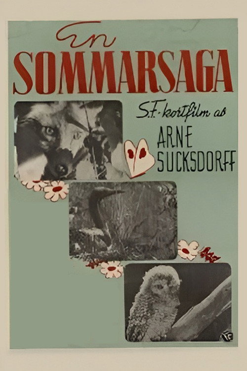 En sommarsaga