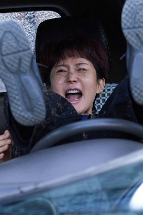 랜드