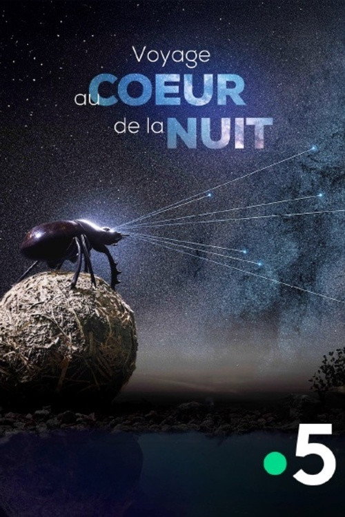 Voyage Au Coeur De La Nuit