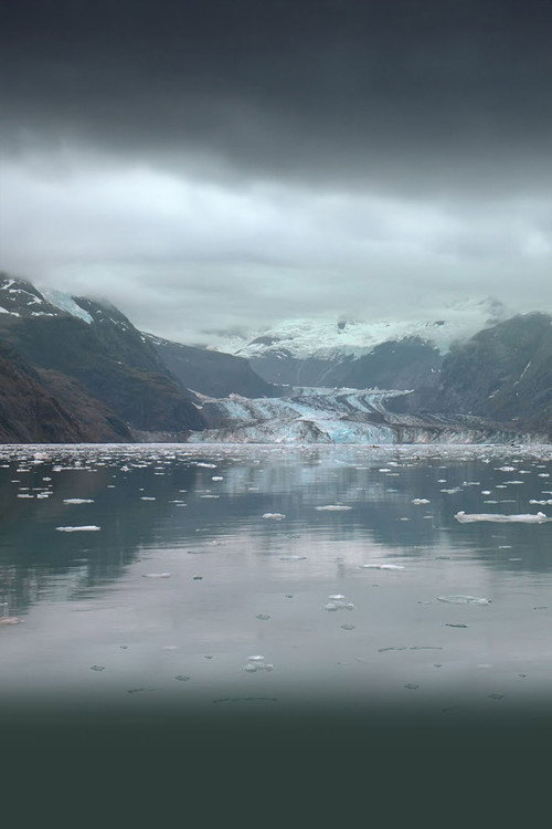 Alaskan Shorts