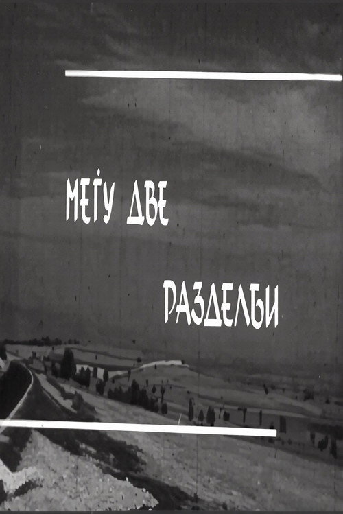 Меѓу две разделби