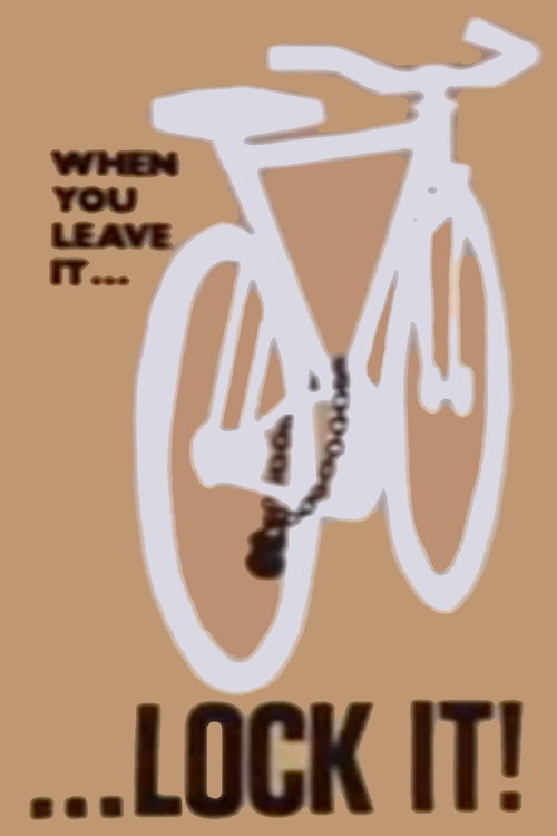Bicycle Thefts