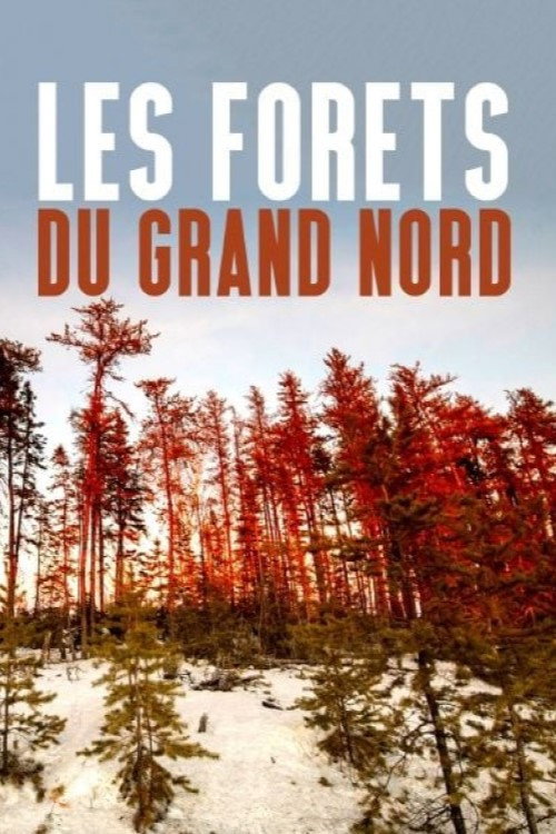 Les forêts du Grand Nord