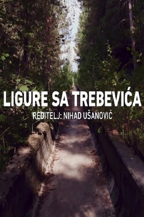 Ligure sa Trebevića