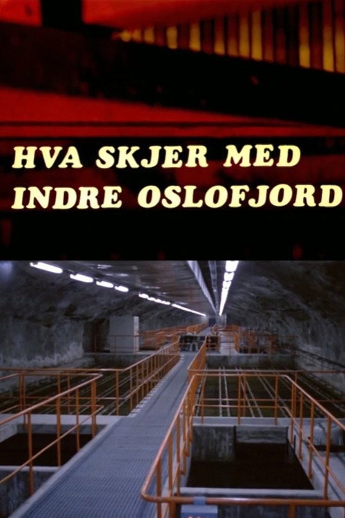 Oslofilm: Hva skjer med indre Oslofjord?