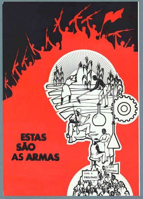 Estas são as armas