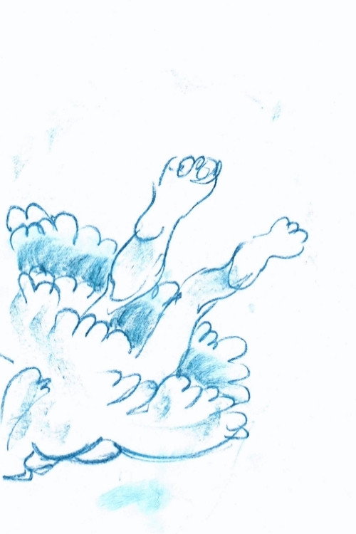 水母