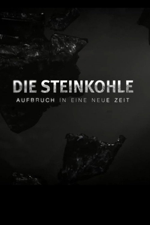 Die Steinkohle: Aufbruch in eine neue Zeit