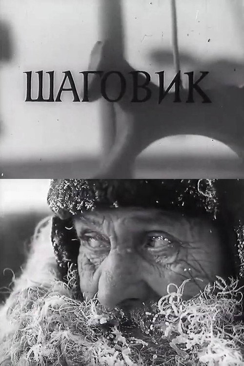 Шаговик