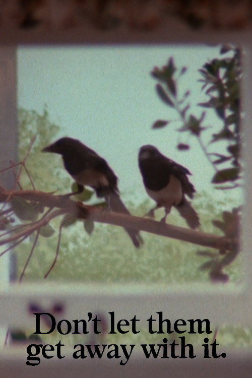 Magpies