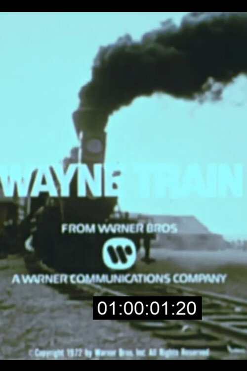 Wayne Train