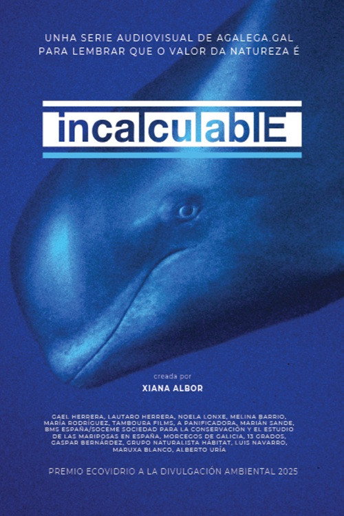Incalculable