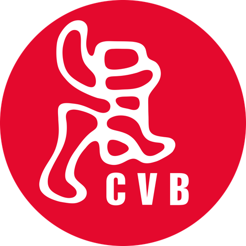 Логотип Centre Vidéo de Bruxelles