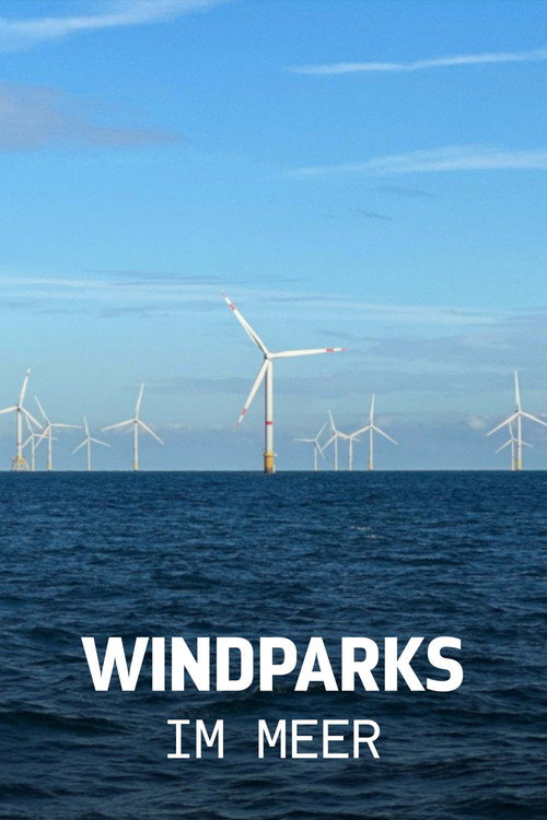 Windparks im Meer - Chance oder Risiko für die Natur?