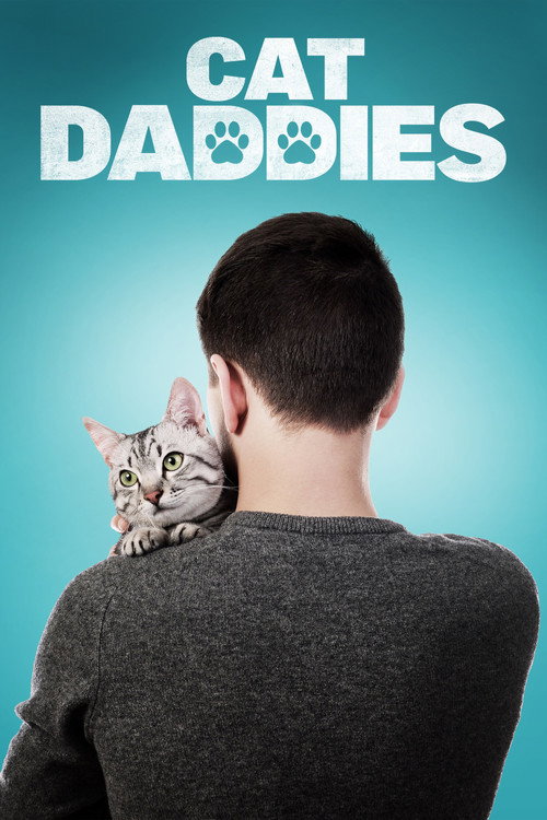 Котики