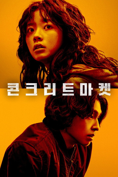 콘크리트마켓