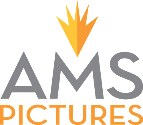 Логотип AMS Pictures
