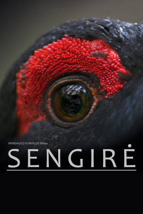Sengirė