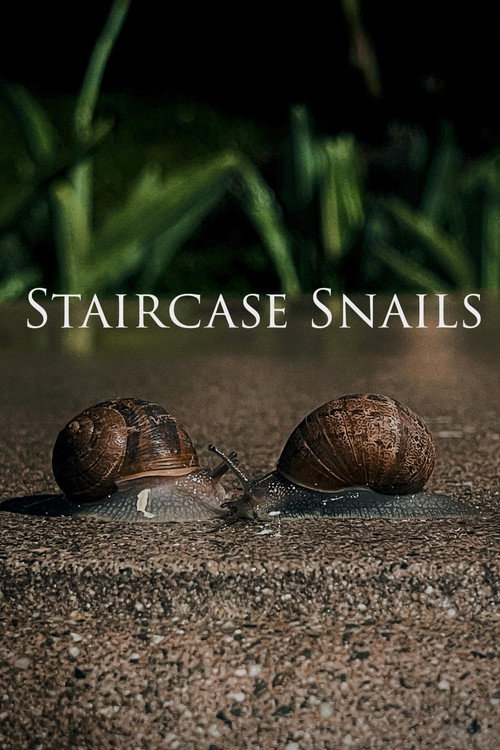 Staircase Snails