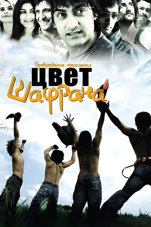 Цвет шафрана