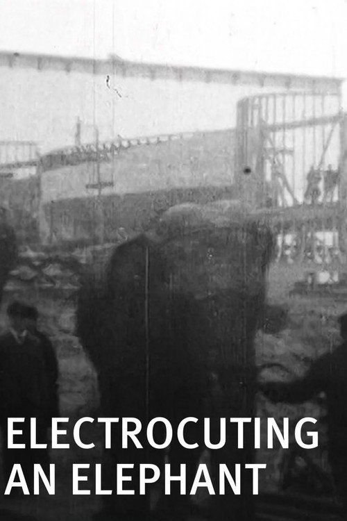 Electrocuting an Elephant
