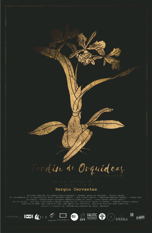 Jardín de orquídeas