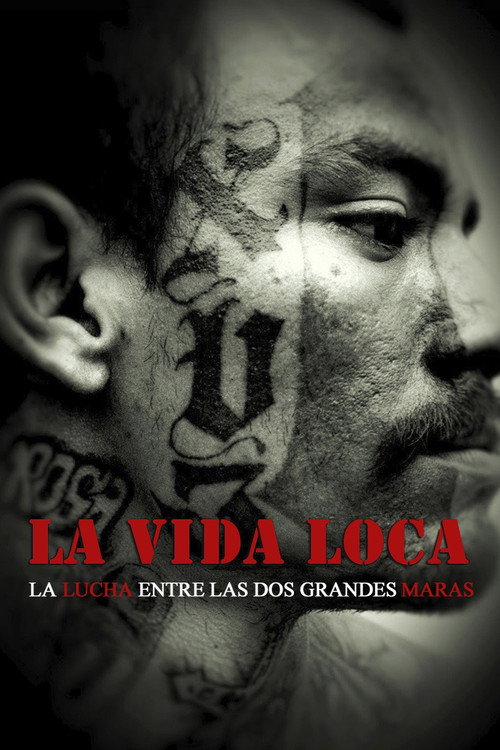 La vida loca