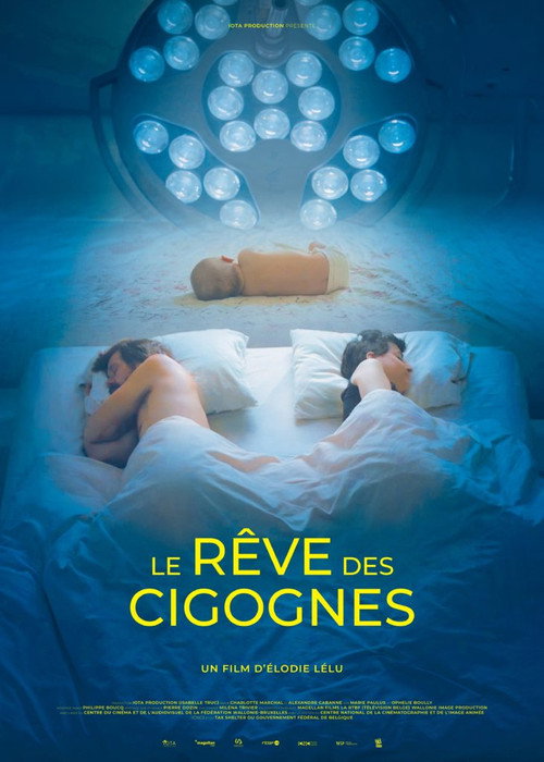 Le rêve des cigognes